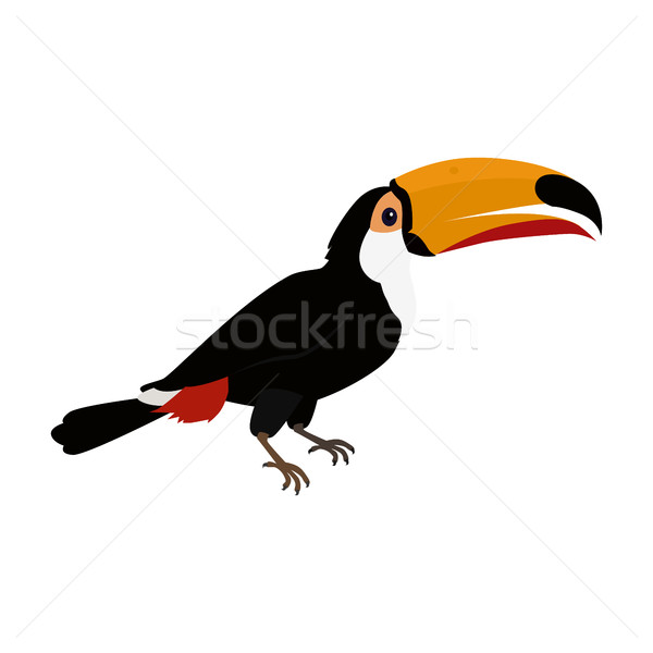 Toucan Bird Flat Design Vector Illustration Stock photo © robuart
