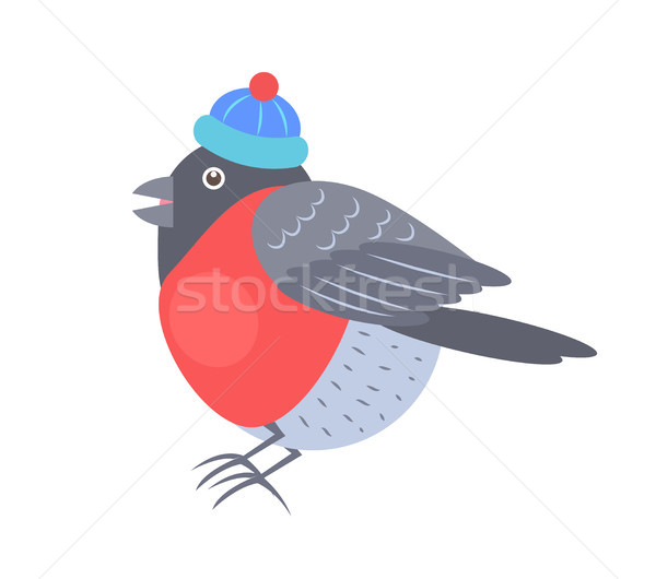 Bullfinch in Knitted Hat Vector Illustration Stock photo © robuart