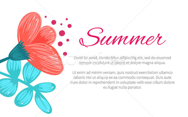 Summer Poster with Flower Vector Illustration Stock photo © robuart