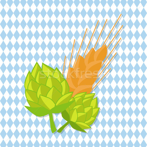 Hop and Golden Ears of Wheat Vector Illustrations Stock photo © robuart