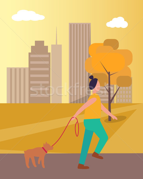 ストックフォト: 少女 · 徒歩 · 犬 · 公園 · プロセス · 秋
