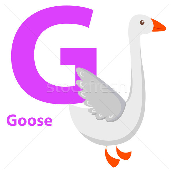 White Goose with Purple Character G on ABC Card Stock photo © robuart