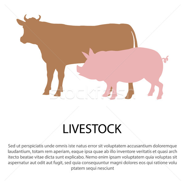 Livestock Poster with Pink Pig and Cow Silhouettes Stock photo © robuart