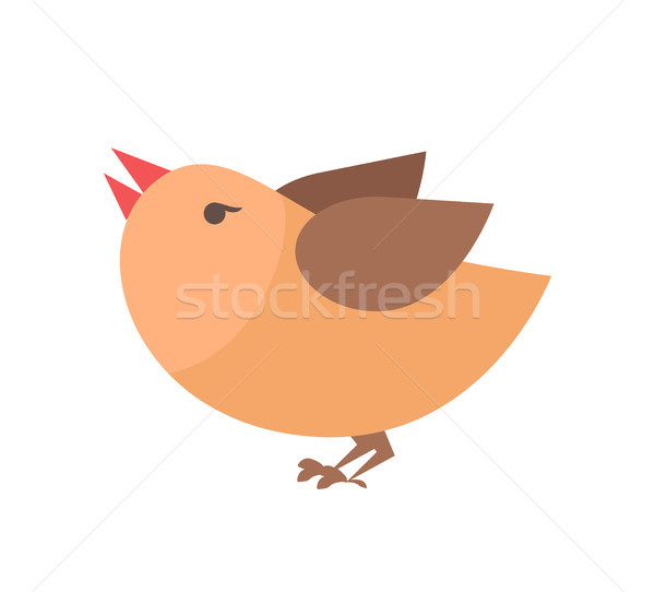 Closeup of Orange Bird on Vector Illustration Stock photo © robuart
