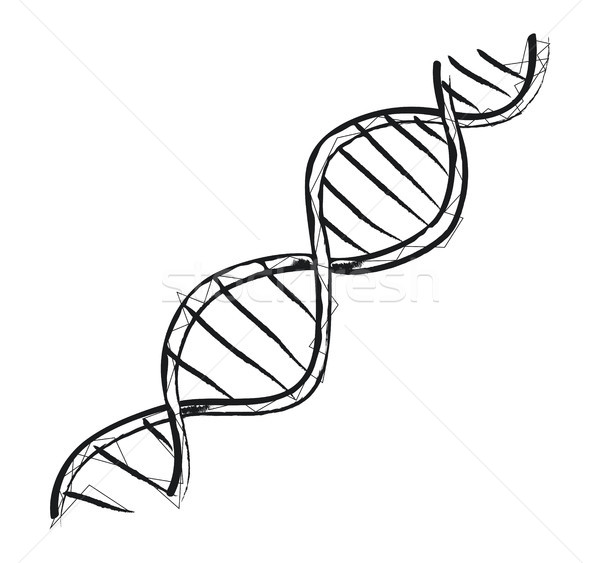 DNA kod yapı ikon ışık hat Stok fotoğraf © robuart