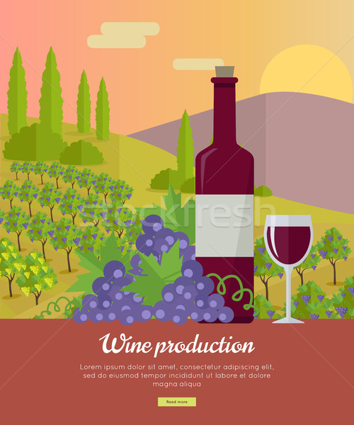 Wine Production Banner. Poster for Red Vine Stock photo © robuart