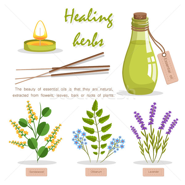 Healing Herbs in Essential Oil Promotion Poster Stock photo © robuart