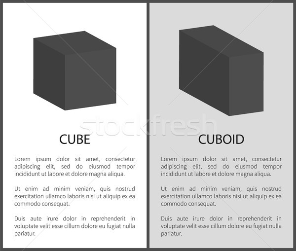 Cube and Cuboid Black Geometric Shapes with Text Stock photo © robuart