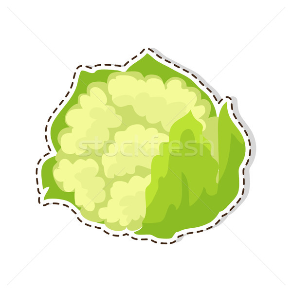 Ripe Cauliflower Flat Vector Isolated Sticker or Icon Stock photo © robuart