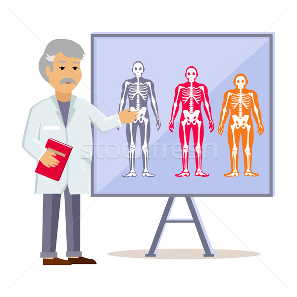 Doctor Shows Type Human Body Stock photo © robuart
