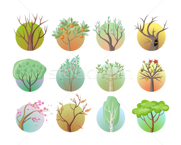 Set of Tree Round Icons Stock photo © robuart