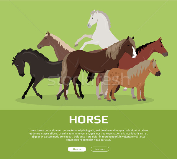 лошади стиль вектора веб баннер группа Сток-фото © robuart
