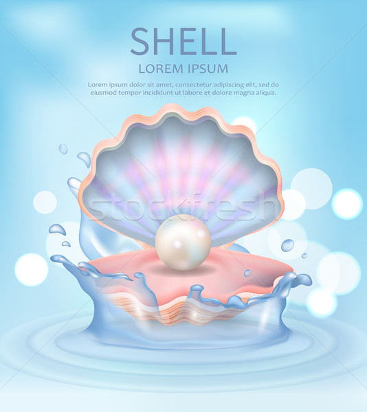 Shell Elegant Poster with Text Vector Illustration Stock photo © robuart