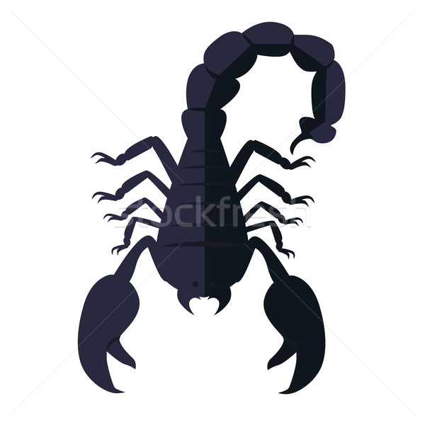 Scorpion Animal Isolated on White Background Stock photo © robuart