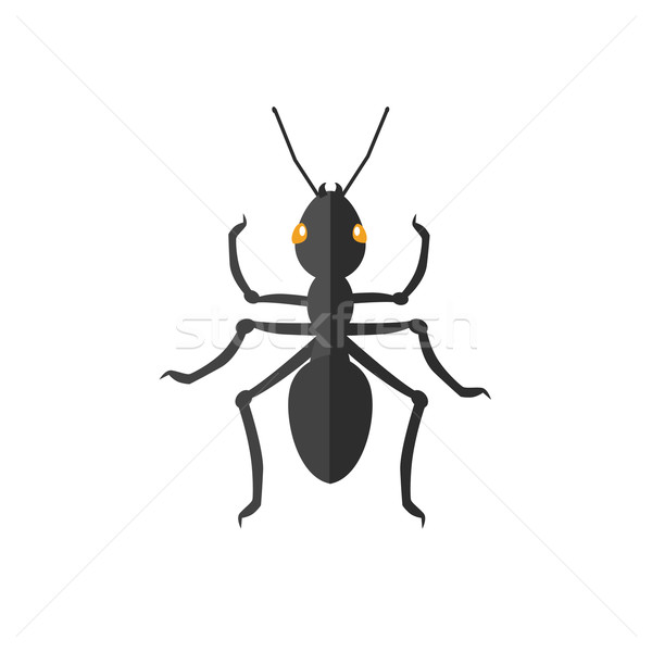 Ant Icon Vector Stock photo © robuart