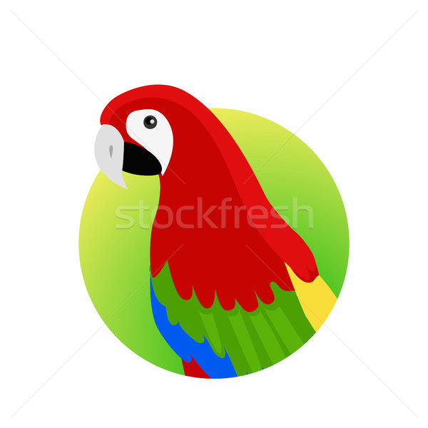 Ara Parrot Flat Design Vector Illustration Stock photo © robuart