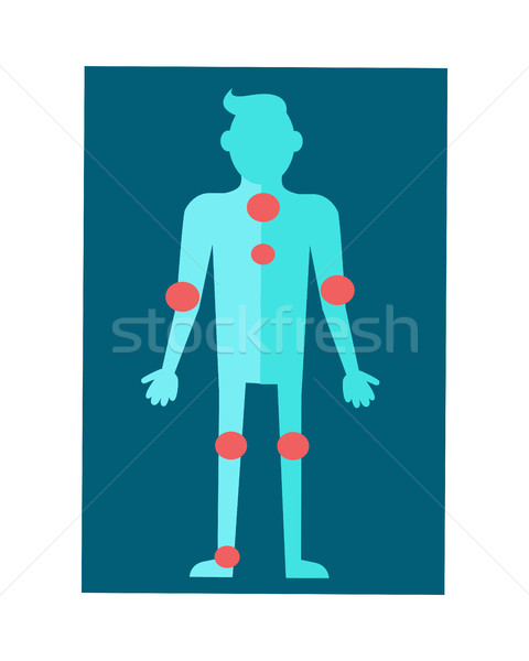 Anatomical Scheme of Human Body in Flat Design  Stock photo © robuart