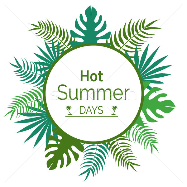 Forró nyári napok promóciós poszter levelek zöld Stock fotó © robuart