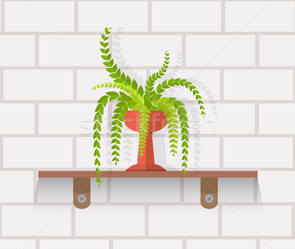 Stock photo: Houseplant Design Flat Concept