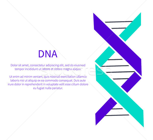 Stock photo: DNA Deoxyribonucleic Acid Chain Logo Design Blue
