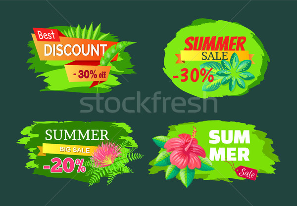 Discount 30 Off Summer Big Sale Set Promo Labels Stock photo © robuart