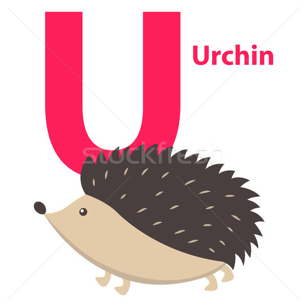 Barbed Cute Urchin on Alphabet Poster Character U Stock photo © robuart