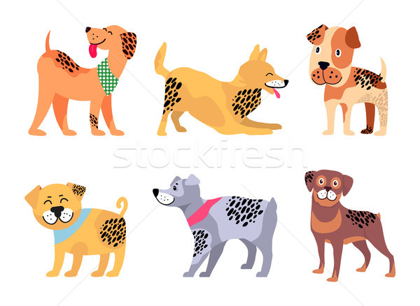 Playful Padigree Dogs with Unusual Fur Color Set Stock photo © robuart