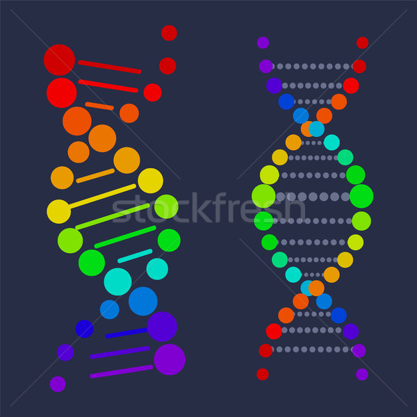 DNA kwas łańcucha plakat kolorowy podpisania Zdjęcia stock © robuart