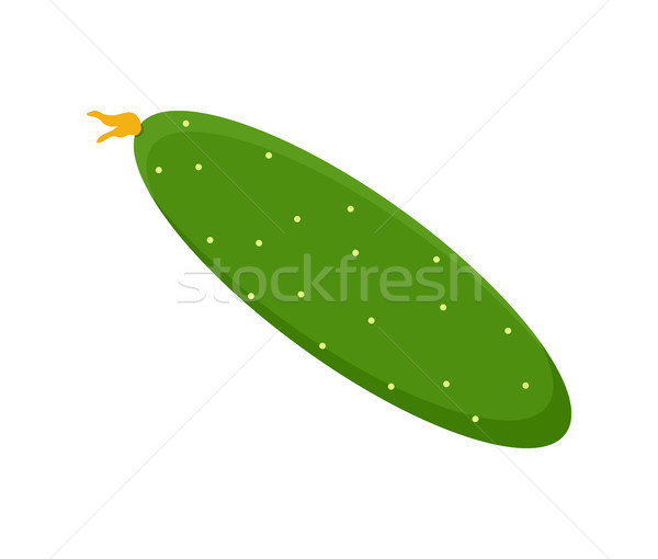 Cucumber and Flower Vegetable Vector Illustration Stock photo © robuart