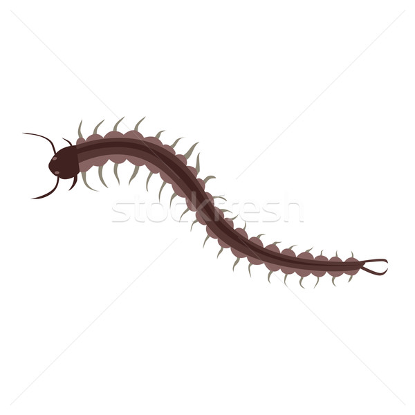 Centipede Insect Design Flat Isolated Stock photo © robuart