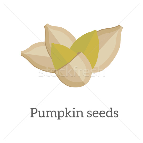 Pumpkin Seeds Vector Illustration in Flat Design   Stock photo © robuart