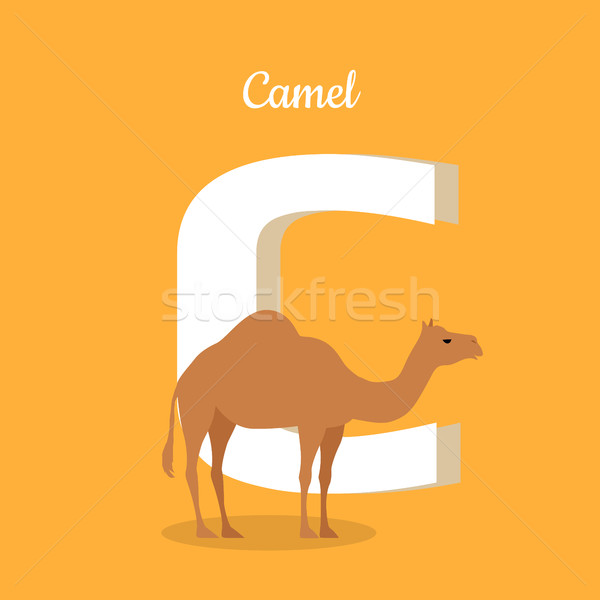 Animals Alphabet. Letter - C Stock photo © robuart
