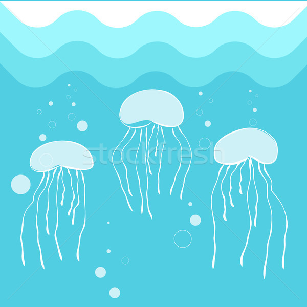 Meduza úszik kék tenger víz polip Stock fotó © robuart