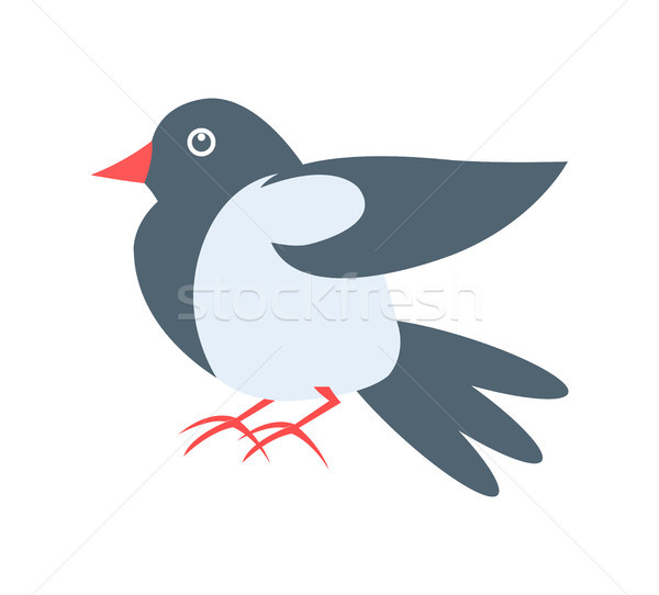 Closeup of Pigeon on White Vector Illustration Stock photo © robuart