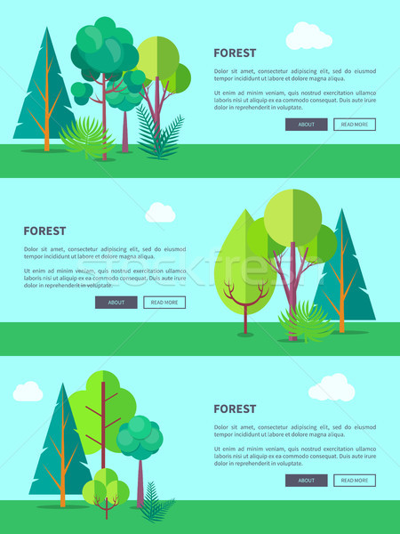 Forestales vector web banner árboles Foto stock © robuart