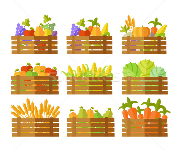 Set of Boxes With Fruits and Vegetables in Vector. Stock photo © robuart