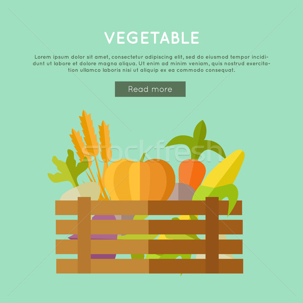 Vegetable Vector Web Banner in Flat Design.  Stock photo © robuart