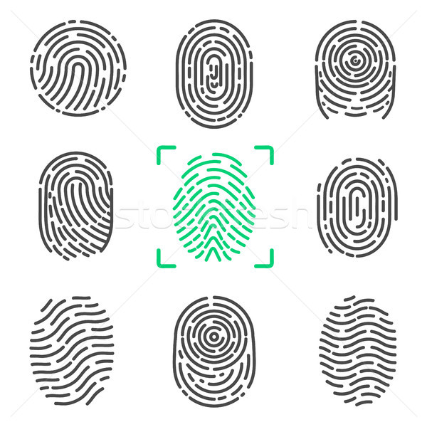Collection of Fingerprints on Vector Illustration Stock photo © robuart