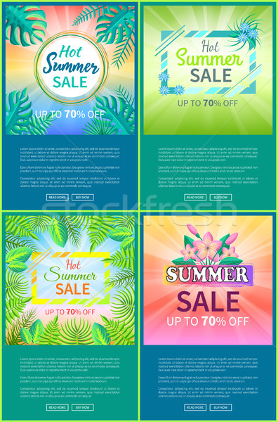 Hot Summer Sale Web Posters Set Up 70 Off Banner Stock photo © robuart