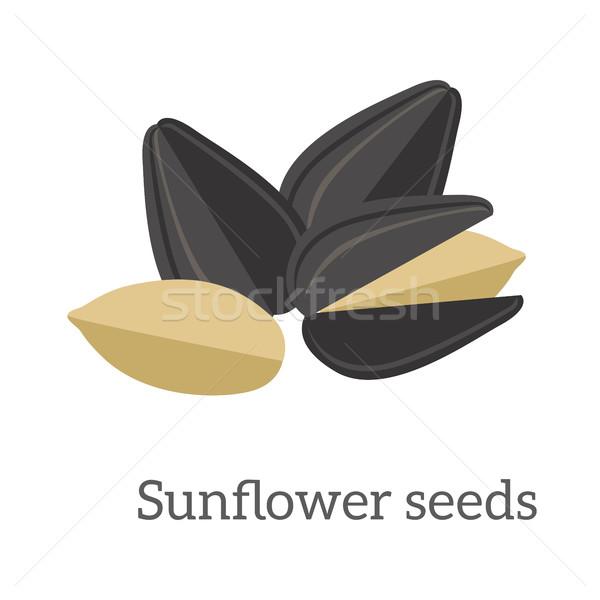 Illustration of Sunflower Seeds Stock photo © robuart