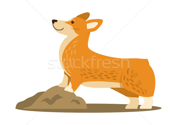 Happy Cute Corgi Dog Icon Vector Illustration Stock photo © robuart