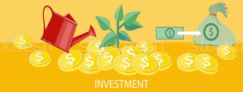 Investment concept Stock photo © robuart