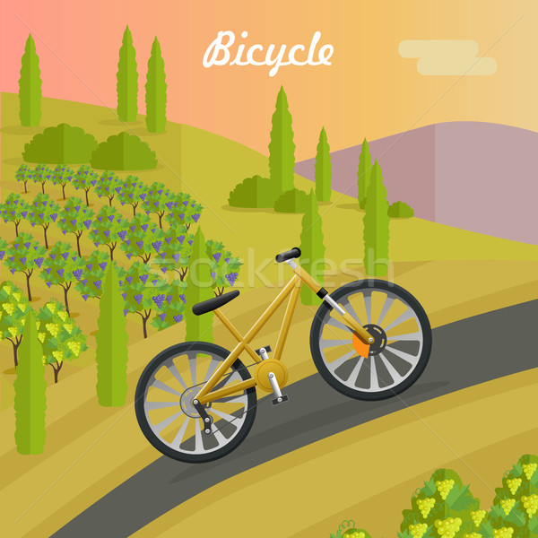 Versenyzés citromsárga bicikli aszfalt útvonal nyár Stock fotó © robuart