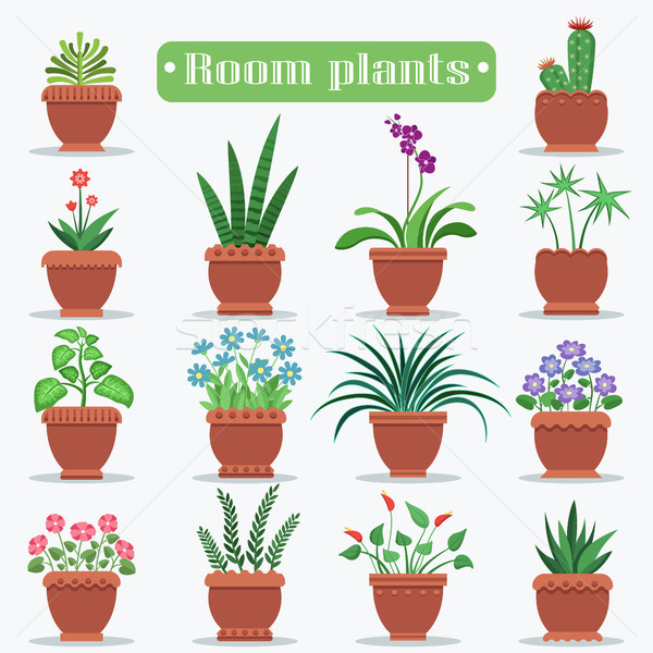 Decorative Room Plants in Clay Pots Illustrations Stock photo © robuart