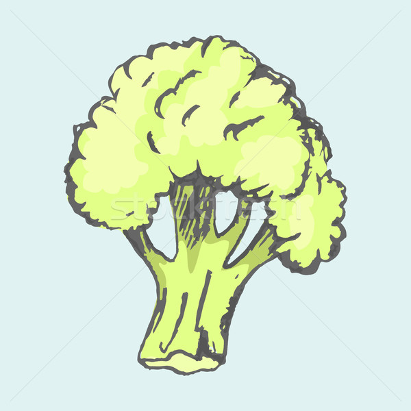 [[stock_photo]]: Grand · brocoli · usine · isolé · bleu · vert