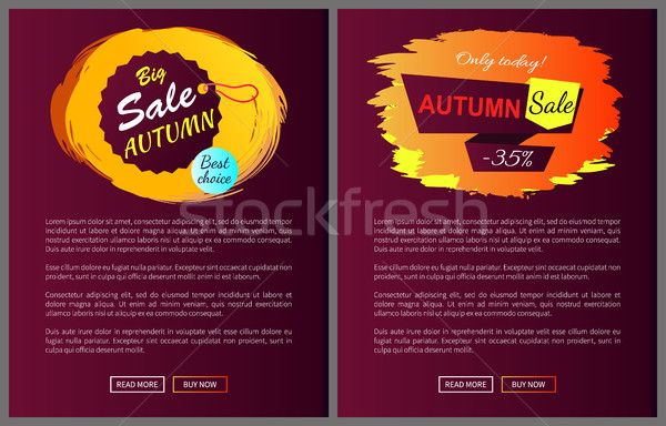 Autumn Sale Choice Hanging Label on Vector Poster Stock photo © robuart