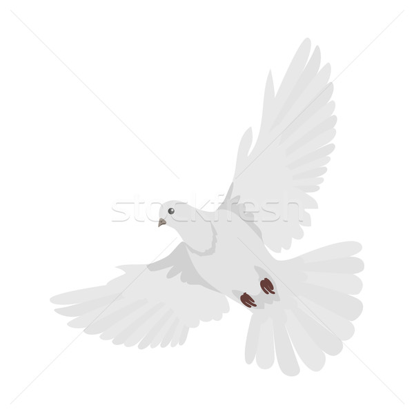 Pigeon Flat Design Vector Illustration Stock photo © robuart