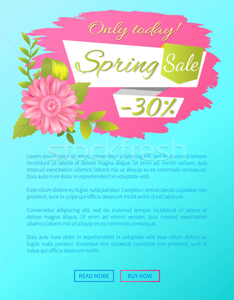 Wiosną sprzedaży dzisiaj 30 internetowych Zdjęcia stock © robuart