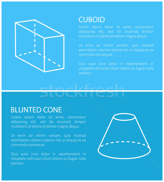 Cuboid and Blunted Cone Set Vector Illustration Stock photo © robuart