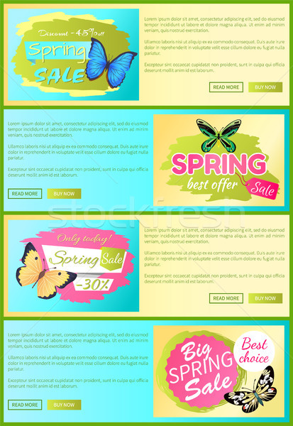 Sale Spring Discount Label Online Poster Butterfly Stock photo © robuart